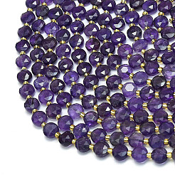 Natural Amethyst Beads Strands&nbsp;G-C116-A46-02A