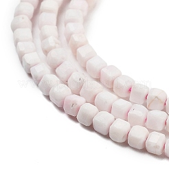Natural Sea Shell Beads Strands&nbsp;G-H042-B33-01