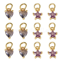 12Pcs 2 Styles Brass Micro Pave Cubic Zirconia Charms&nbsp;KK-TA0008-70C