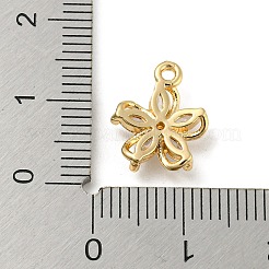 Brass with Clear Cubic Zirconia Charms&nbsp;LS-KK-G478-02C-KCG