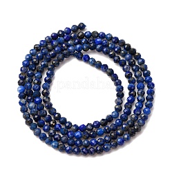 Natural Lapis Lazuli Beads Strands&nbsp;LS-G-D165-B-2mm
