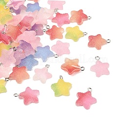 Resin Pendants&nbsp;RESI-D022-01P