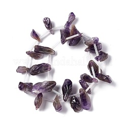 Natural Amethyst Beads Strands&nbsp;G-I329-02