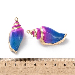 Conch Shell Pendants&nbsp;SSHEL-B002-06D