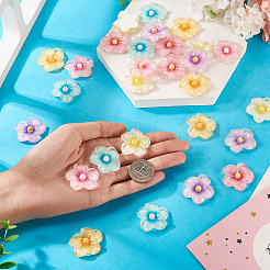 30Pcs 6 Colors Transparent Resin Cabochons&nbsp;RESI-TA0004-45