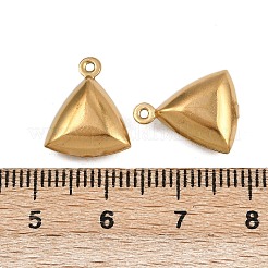 304 Stainless Steel Charms&nbsp;STAS-L297-11G
