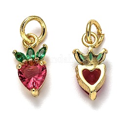 Brass Micro Pave Cubic Zirconia Charms&nbsp;X-ZIRC-H119-06G