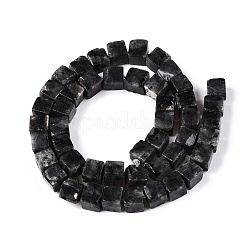 Natural Larvikite Beads Strands&nbsp;G-T139-8x8-25A