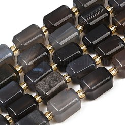 Natural Botswana Agate Beads Strands&nbsp;G-P611-A02-02