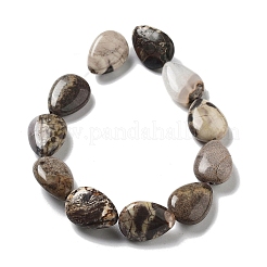 Natural Wealth Stone Beads Strands&nbsp;G-P528-L04-01