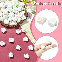 ミニ不透明樹脂カボション  ハウス  ミックスカラー  12~13x13.5~15.5x7.5~8.5mm&nbsp;RESI-CJC0011-74