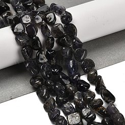 Natural Iolite Beads Strands&nbsp;G-P497-01E-35