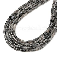 Natural Larvikite Beads Strands&nbsp;G-P600-B08-01