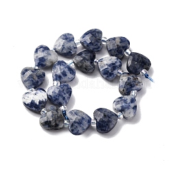 Natural Blue Spot Jasper Beads Strands&nbsp;G-P570-E19-01
