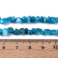 天然淡水シェルビーズ連売り  ナゲット  染め  ディープスカイブルー  0.5~8x3~7x3~7mm  穴：1mm  約86~108個/連  14.76~15.16インチ（37.5~38.5cm）&nbsp;SHEL-N037-04I