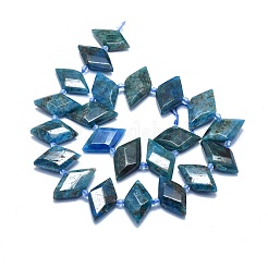 Natural Apatite Bead Strands&nbsp;G-O179-H27