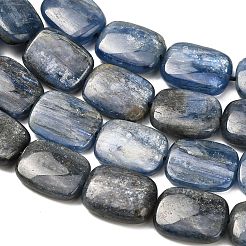 Natural Kyanite Beads Strands&nbsp;G-H335-I01-12x16mm