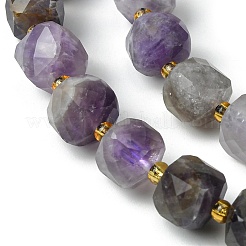 Natural Amethyst Beads Strands&nbsp;G-Q010-A07-01
