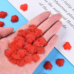 Transparent Acrylic Beads&nbsp;MACR-S373-106-D01