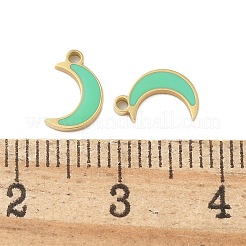 304 Stainless Steel Enamel Charms&nbsp;STAS-L022-333G-02