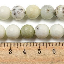 Natural Dendritic Jasper Beads Strands&nbsp;G-E571-A05-03