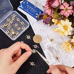 30Pcs Alloy Rhinestone Pendant&nbsp;FIND-SC0011-05