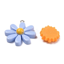 Epoxy Resin Pendants & Cabochons&nbsp;CRES-MSMC002-56