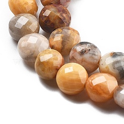 Natural Crazy Agate Beads Strands&nbsp;G-C179-A22-02