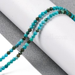Natural Howlite Beads Strannds&nbsp;G-C025-02A-04
