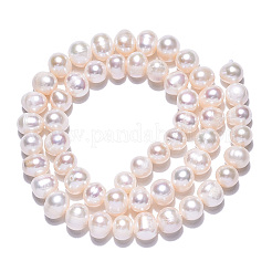Natural Cultured Freshwater Pearl Beads Strands&nbsp;PEAR-N013-06F