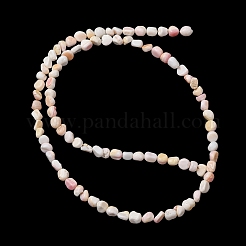 Natural Shell Beads Strands&nbsp;SHEL-K006-76