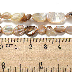 天然貝殻ビーズ連売り  ナゲット  シエナ  6.5~13x4.5~10x2~7.5mm  穴：0.7mm  約45~48個/連  14.96~15.75''（38~40センチメートル）&nbsp;SSHEL-H072-14