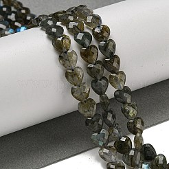 Natural Labradorite Beads Strands&nbsp;G-P544-E01-01