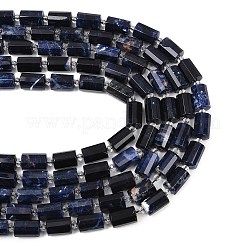 Natural Sodalite Beads Strands&nbsp;G-G453-E06-10x14mm