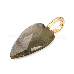 Natural Labradorite Pendants&nbsp;G-C290-01D