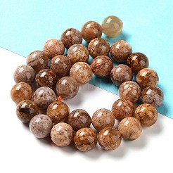 Natural Flower Agate Beads Strands&nbsp;G-B044-A01-04
