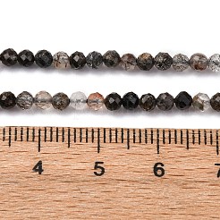 Natural Black Rutilated Quartz Beads Strands&nbsp;LS-G-RM250104-C3