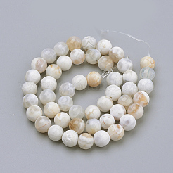 Natural Fire Crackle Agate Beads Strands&nbsp;G-S249-09-8mm