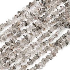 Natural Black Strawberry Quartz Chip Beads Strands&nbsp;G-B160-A03