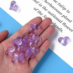 Transparent Acrylic Beads&nbsp;LS-MACR-S373-70-B14