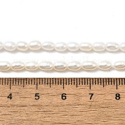 天然養殖淡水パールビーズ連売り  ライス  グレード6a+  古いレース  3~3.5mm  穴：0.5mm  約71~80個/連  13.98''~14.37''（35.5~36.5センチメートル）&nbsp;PEAR-I007-01O-01A