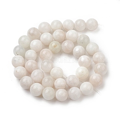 Natural Grey Moonstone Beads Strands&nbsp;LS-G-I279-C01-10mm-A