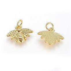 真鍮製チャーム  カドミウムフリー＆鉛フリー  丸カン付き  ミツバチ  ゴールドカラー  12x16x2mm  穴：3mm&nbsp;KK-G364-10G