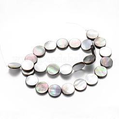 Natural Black Lip Shell Bead Strands&nbsp;SHEL-R018-01