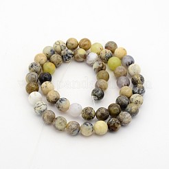 Natural Moss Agate Round Bead Strands&nbsp;G-P070-60-4mm