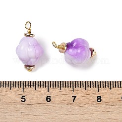Opaque Acrylic Pendants&nbsp;KK-K296-01G-02