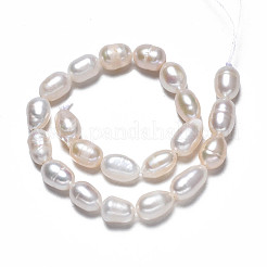 Natural Cultured Freshwater Pearl Beads Strands&nbsp;PEAR-N012-05D