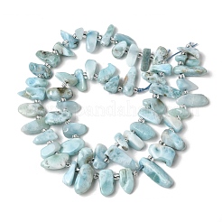Natural Larimar Beads Strands&nbsp;G-P604-A28-01
