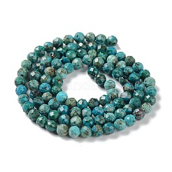 Natural Chrysocolla Beads Strands&nbsp;G-P514-A03-03