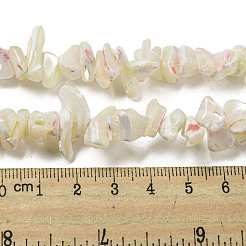 天然ニシキウズガイシェルビーズ連売り  ナゲット  古いレース  3.5~10x7.5~21x4~9mm  穴：0.8~1mm  約174~178個/連  29.13~29.92''（74~76センチメートル）&nbsp;SSHEL-H072-04